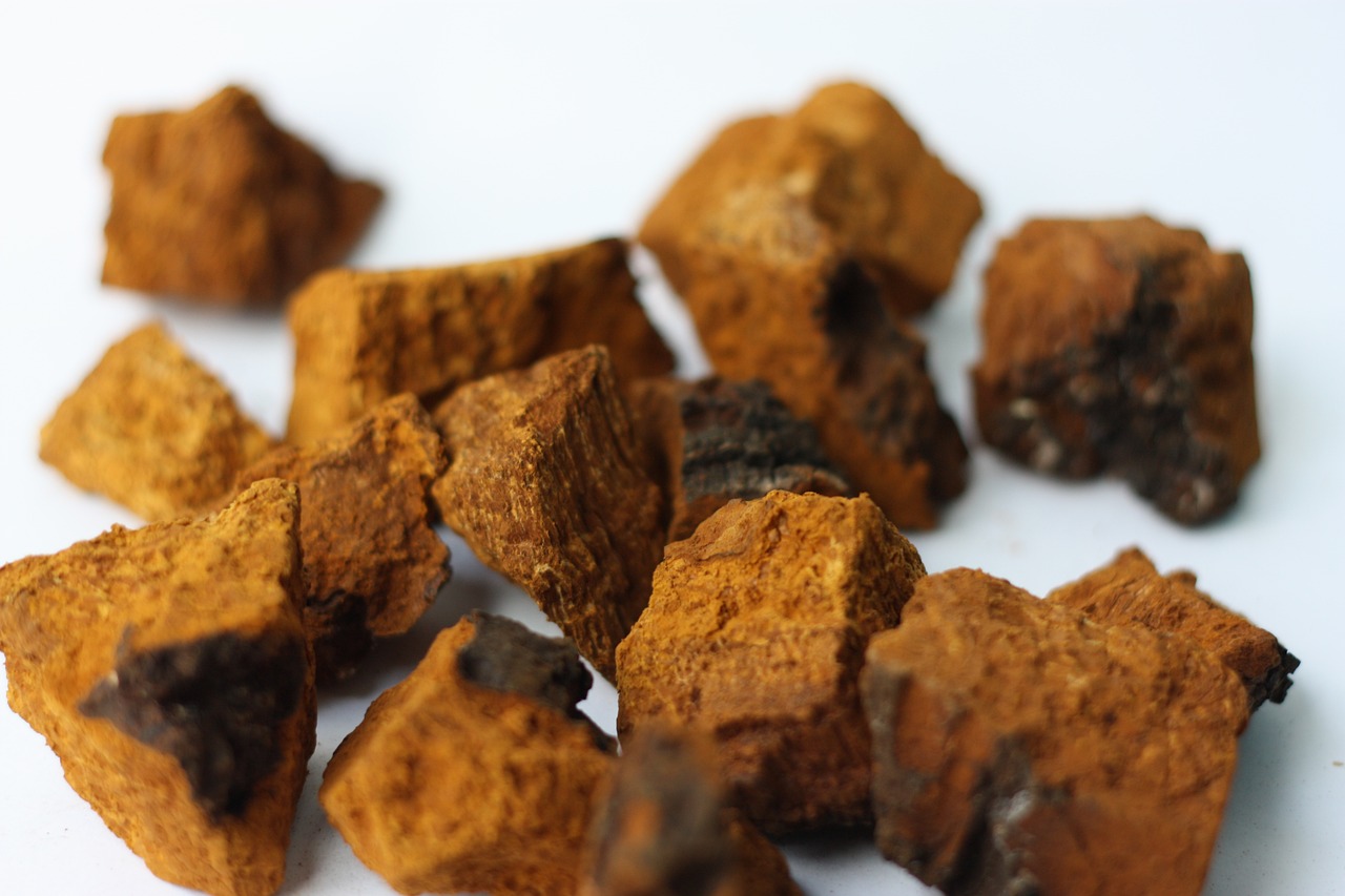 Chago Root Mushrooms - Thai Freeze Dry